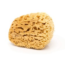 BodyCare Sea Sponge, 11-12.5cm, Premium Quality, Honeycomb Sponge for The Mos...