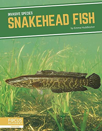 Snakehead Fish (Invasive Species). Huddleston 9781644939048 Free Shipping**