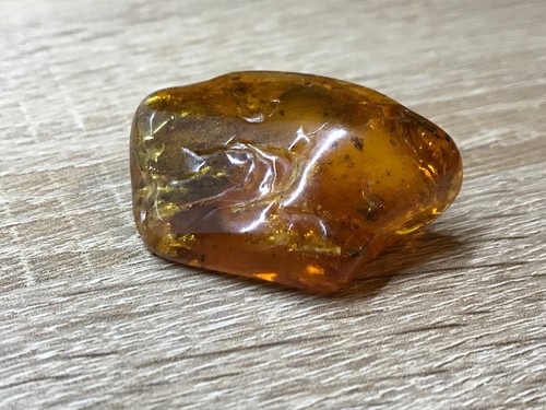 Amber Piece Insect Fossil Inclusion Baltic Natural Collectible Bead 17,4g 18693 - Picture 22 of 24