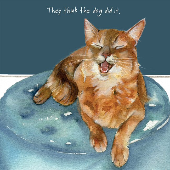 Laughing Cat Dog Did It Little Dog Laughed Greeting Card Blank Inside