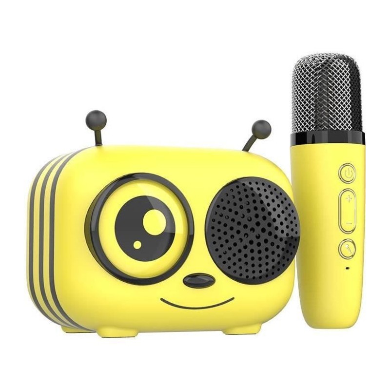Enceinte de karaoké Maya CGV pour fêtes de famille et anniversaires