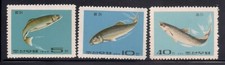 Korea   1969   Sc # 917-19   Fish   MNH   NGAI
