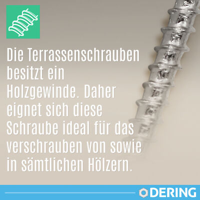 SCREW REBEL Spanplattenschraube Edelstahl A2 Mit Cutspitze, TX Antrieb