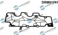 NEU - Dr.Motor Automotive DRM01741 Dichtung, KurbelgehäUseentlüFtung FüR