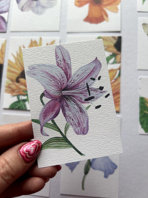 ACEO Edition- Print Sawyer Crane Flower Watercolor  Pink Tiger Lily Spotted 