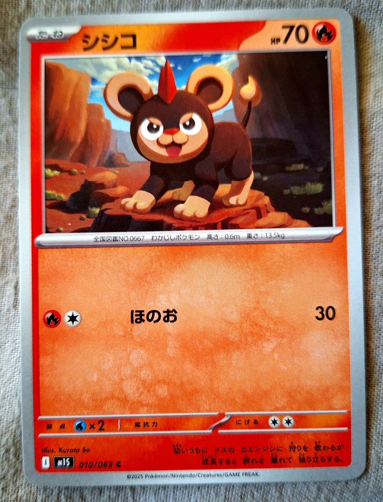 Pokémon Cards: Litleo 10/63 | Common Regular | Mega Symphonia (JP) - Pokémon TCG