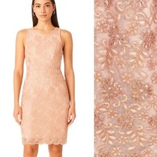 NWT Katherine Kelly Lace Dress Sheath Mesh Sequin Peach Pink Size 2 retail $179