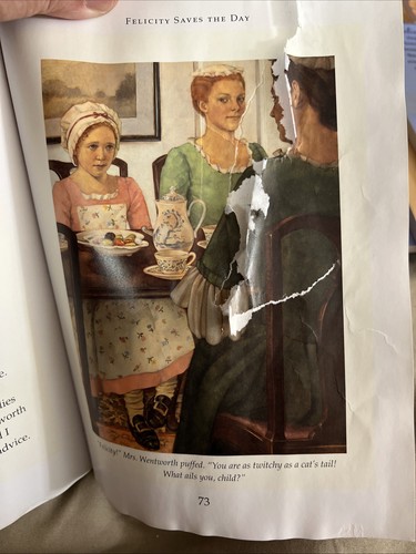 American Girl Felicity Book Series 1-6 & Felicity Movie on DVD Pleasant Company - Picture 8 of 11