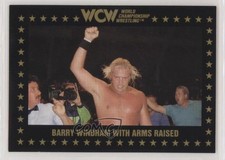 1991 Championship Marketing WCW Barry Windham #28 0y59