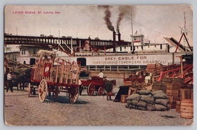 St. Louis MO Levee Scene Steamboat Grey Eagle Postcard V.C. Hammon 1911