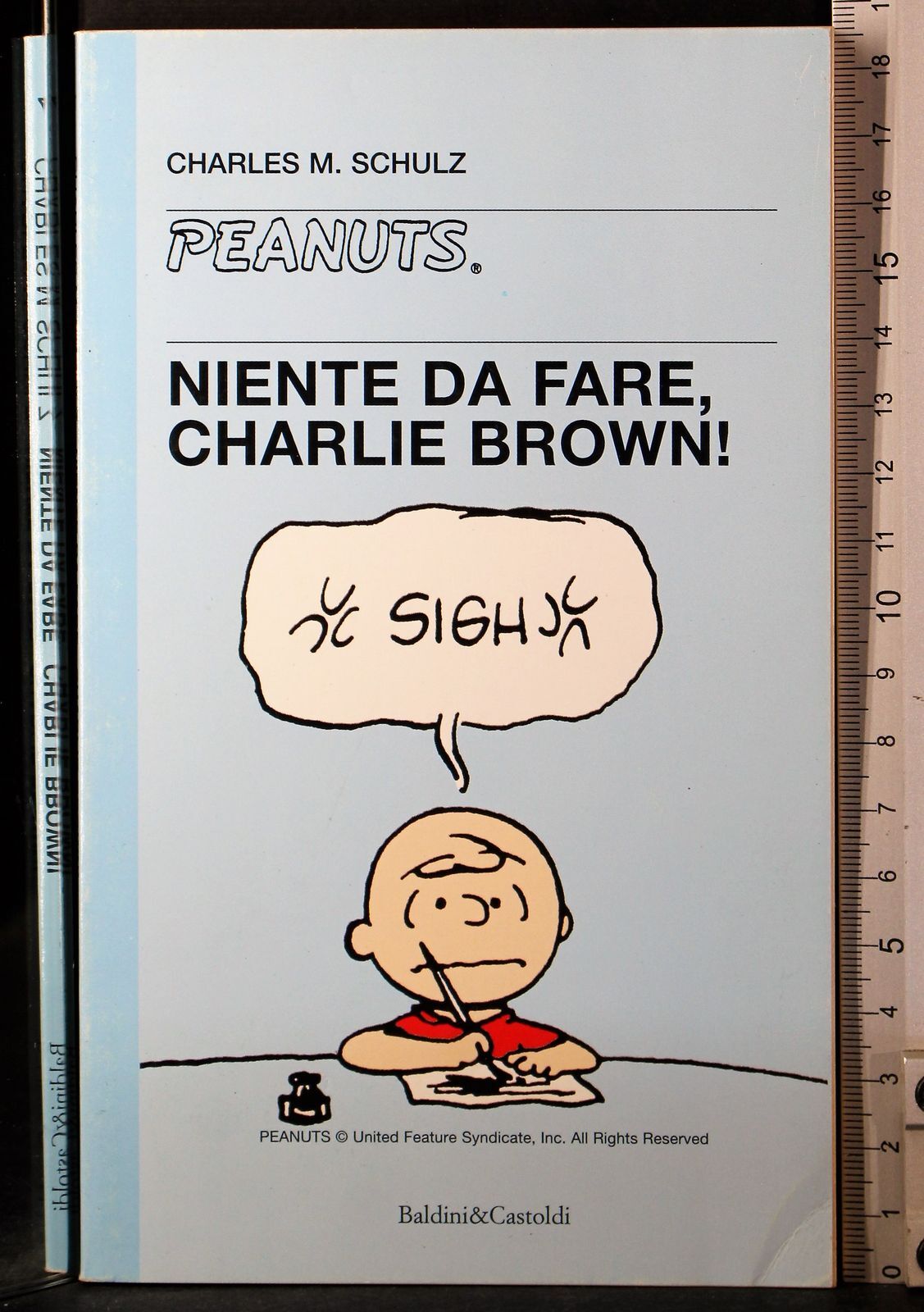 PEANUTS. NIENTE DA FARE, CHARLIE BROWN!. CHARLES SCHULZ. BALDINI & CASTOLDI.