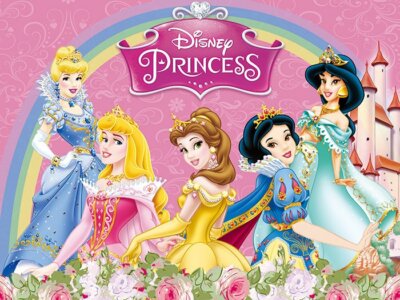 Disney Princess Banner Party Background Decoration Photograph Castle  Backdrop | eBay