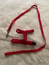 Red Dog Leash and Harness for Small Breed