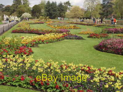 Foto 6x4 Blumenausstellungsbetten, Kew Gardens Brentford Diese Betten davor c2008