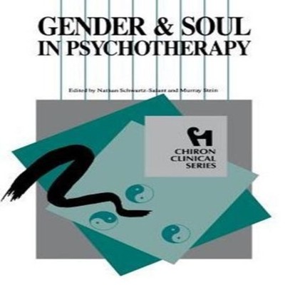 Gender and Soul in Psychotherapy (Chiron Clinical Series)  Paperb