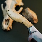 7.9" D2 EDC Hunting Fixed Blade Knife Full Tang Camel Bone Handle Leather Sheath — photo 10