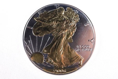 NobleSpirit Superb Gem BU Painted 2005 American Silver Eagle .999 1oz