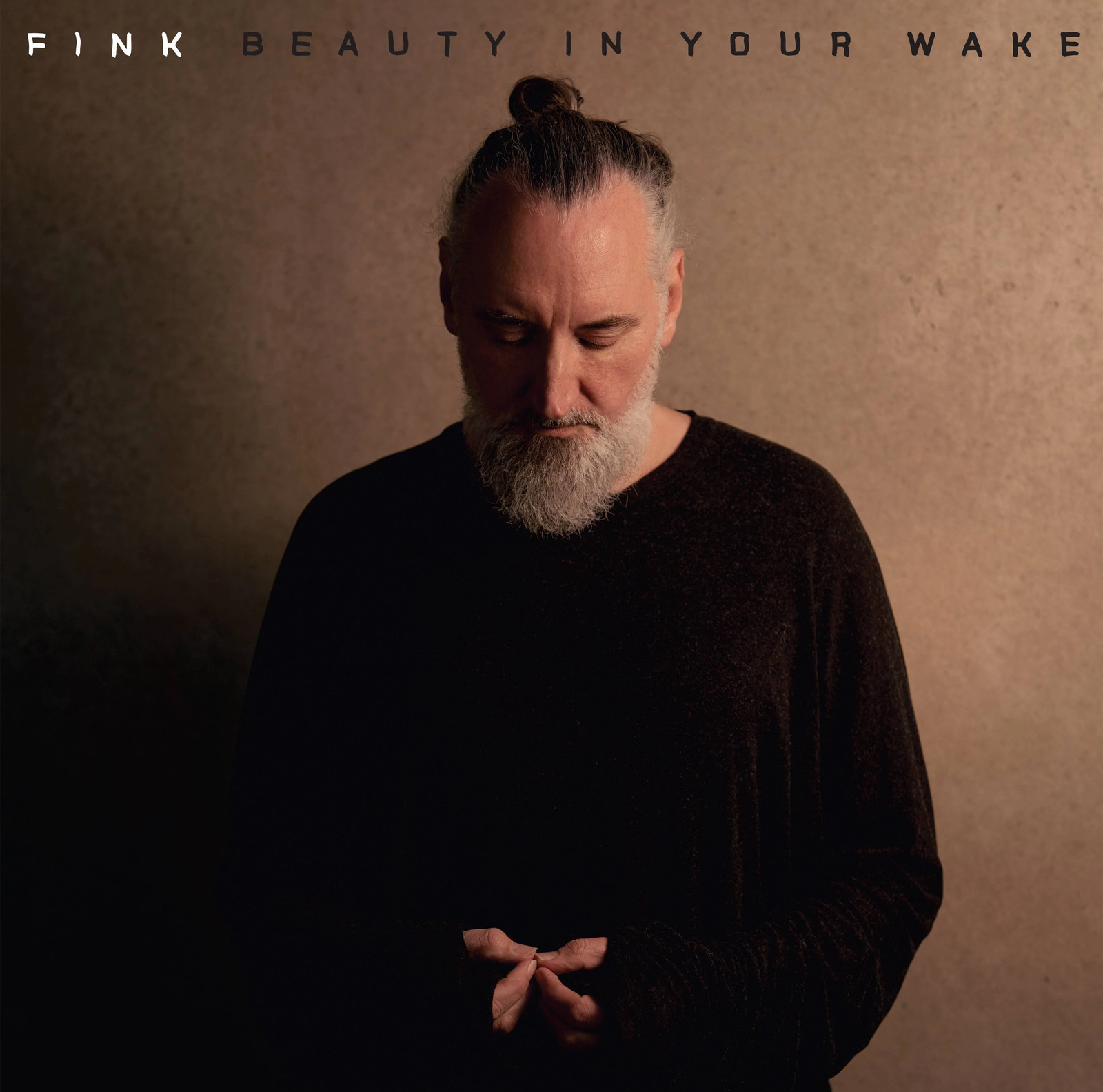 Fink | Beauty In Your Wake | CD