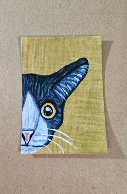 #ad ACEO Tuxedo Cat on Gold Mini Original Painting Acrylic Kitten Peekaboo Signed $9.99