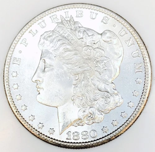 *1880 S MORGAN SILVER DOLLAR* *GEM BU+++* *WHITE* NR #G3806