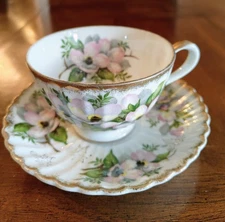  China Tea Cup & Saucer Dogwood Blossoms by Marco Vintage Bone China