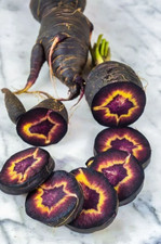 100 Black Nebula Carrot Seeds - Heirloom - Organic - NON GMO - FRESH ----- RARE