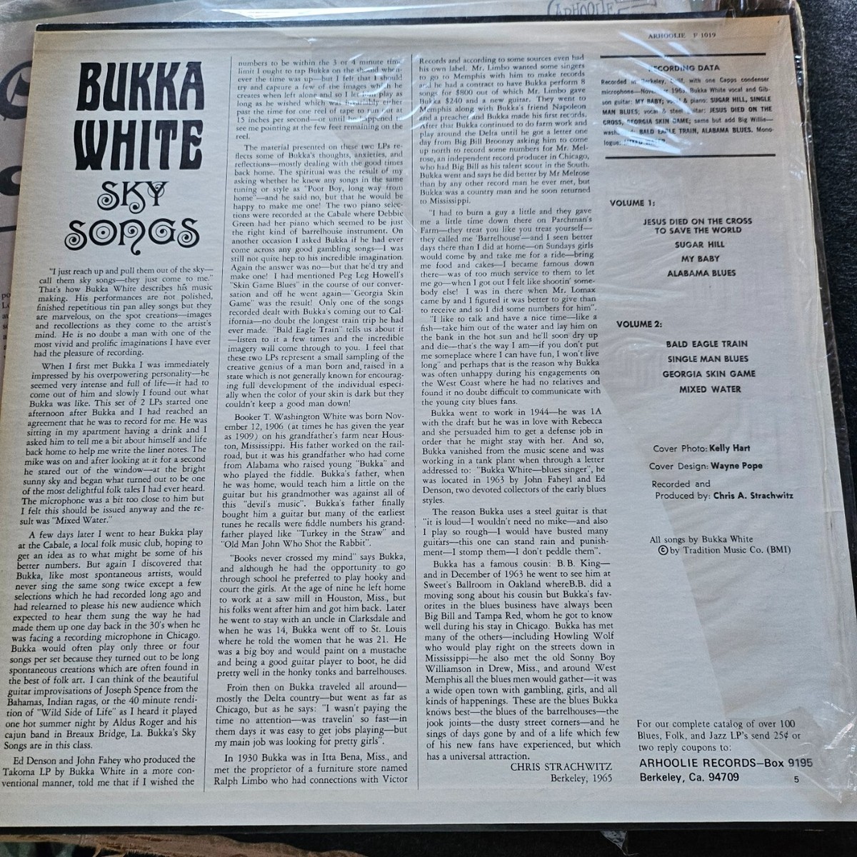 BUKKA WHITE -Sky Songs Vol. 1- LP 1965 Arhoolie Records