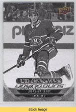 2024 Series 1 UD Canvas Young Guns Black & White Logan Mailloux #C-92 READ 0zw1