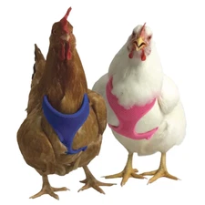 New! Valhoma CHICKEN MESH HARNESS w/ 6' Leash For chicken duck goose 5 COLORS!