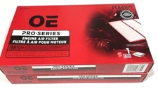OE Pro Series Engine Air Filter 123-3920-0 PCA4309 (2-Pack)