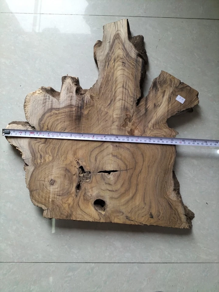 live edge slice of indian teak wood burl wood with high grains for casting craft - Image 2 of 4