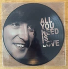 33 12” PICTURE DISK LP THE BEATLES OLYMPIA 1964 PALAIS DES SPORTS 1965 PARIS