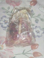 Brand New Pot Pourri sachet *Free Postage