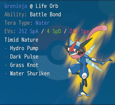 Seltenes Battle Bond Event Greninja 6IV KAMPFBEREIT Pokémon scharlachrot/violett