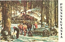 Pennsylvania Pennsylvania Maple Syrup is Special Painting Vintage Postcard