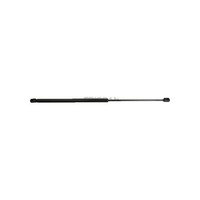 Gasfeder Koffer-/Laderaum Hub 255 Mm 595 N Triscan FüR CitroËN C4