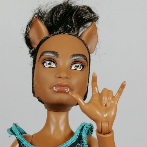 Monster High Pack of Trouble Clawd Howleen Clawdeen Wolf Familie Set gebraucht LESEN - Bild 12 von 19