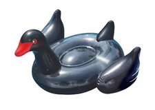 Swimline Inflatable Giant 79" Black Swan NIB Ride On Pool Float #90628 FREE SHIP