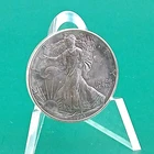 1993 American Silver Eagle Type‑1 1 oz .999 Fine Silver Toned Details