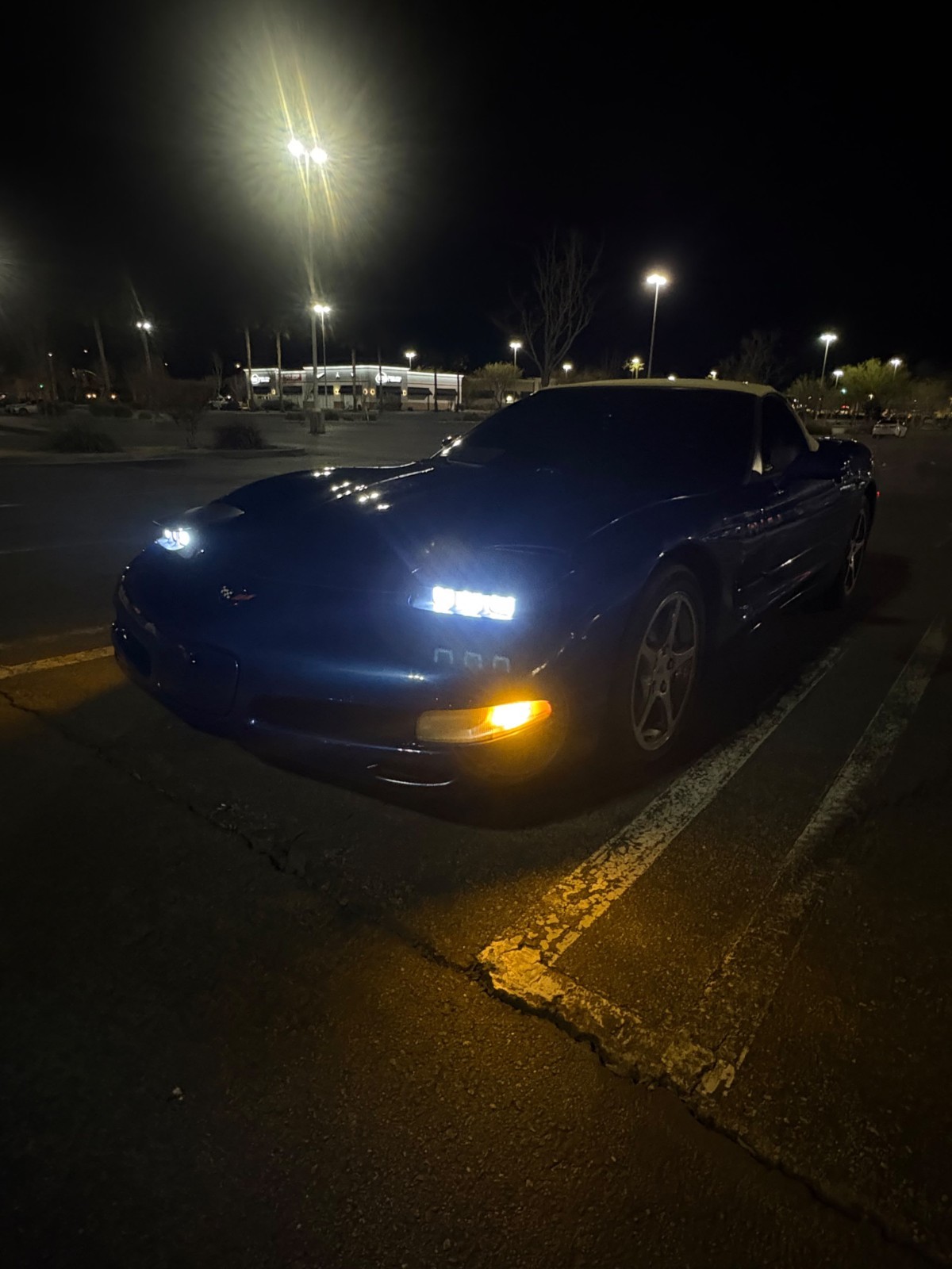 2002 Blue Chevrolet Corvette   | C5 Corvette Photo 3