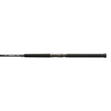 Shimano TERAMAR WC CASTING C, Saltwater, Insh...