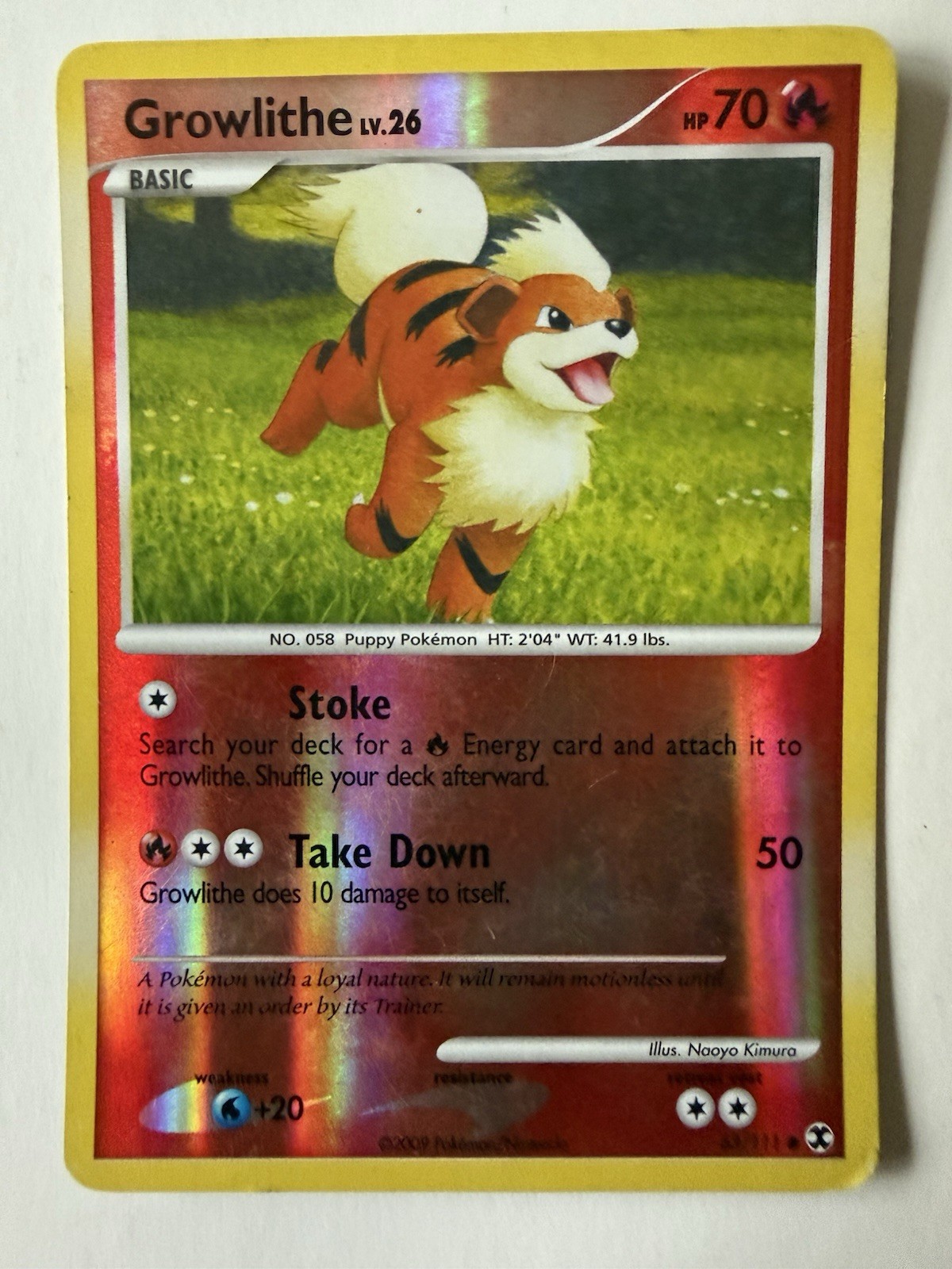 Growlithe - 63/111 - Rising Rivals 2009, Reverse Holo