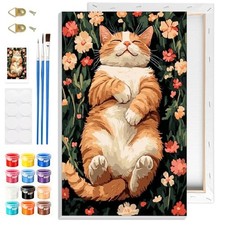 Cat Paint by Numbers Kit with Frame for Adults Beginners DIY Canvas Wall Art