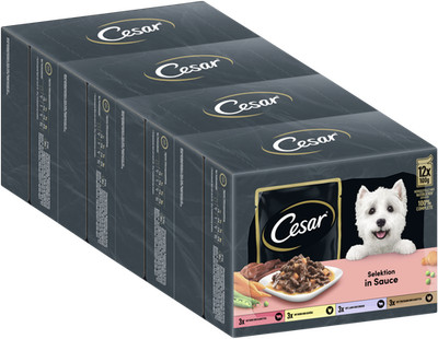 CESAR  Portionsbeutel Multipack Selektion in Sauce 4 Varietäten 4 x 12 x 100g