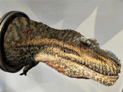 AEA Tyrannosaurus Rex 1/20 Büste bemalt Figur Dinosaurier Modell 