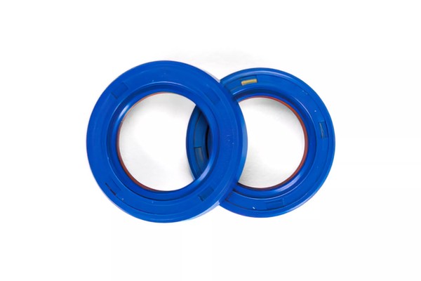 Wellendichtringe Kurbelwelle Polini Evolution Viton Derbi-image