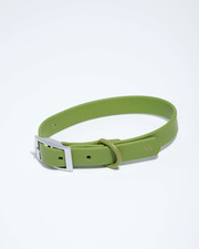 Wild One Dog Collar Size Small Moss Green