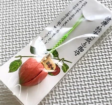 japan OMAMORI Chinese lantern plant health medicine amulet osaka Sojiji Temple