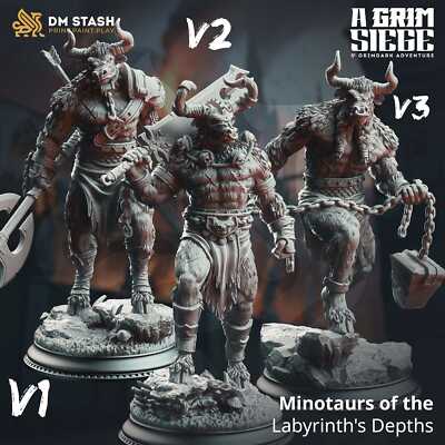 Sword Fighter Tabletop Miniature   Minotaurs of Labyrinth | Qumi