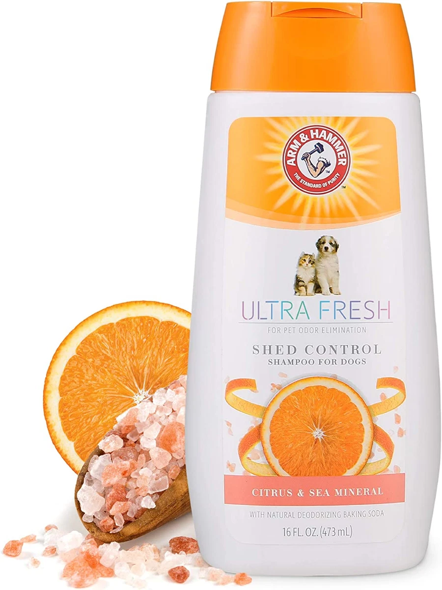 Tangerine shampoo for clearance dogs